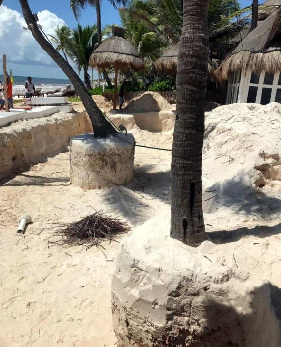 Excavación de Alberca de Hotel Shambala Petit, junto a palmeras en el mar